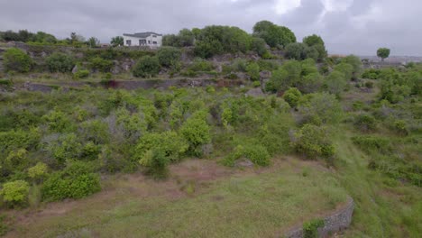 Toma-Aérea-De-Las-Terrazas-Medievales-De-Olivos-En-Sicilia,-Italia.