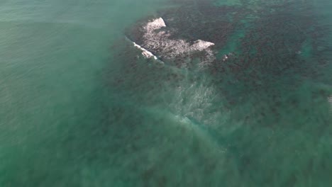 paisaje marino turquesa en la isla de oahu en hawai - toma aérea de un dron