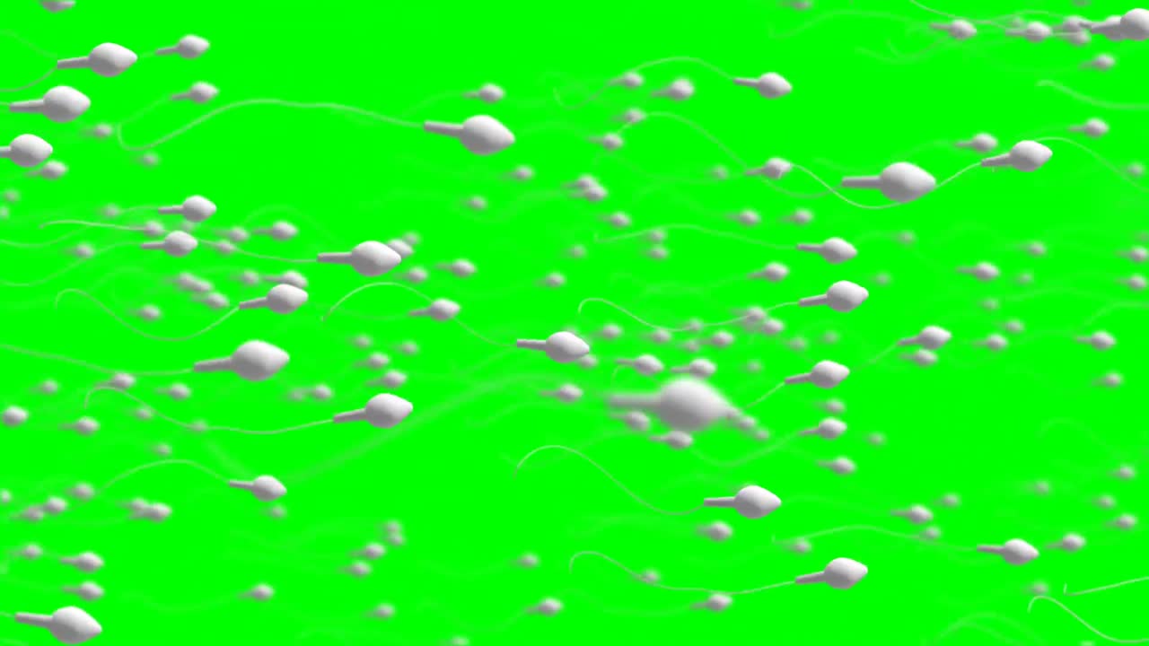 Moving egg cell being fertilized by sperm