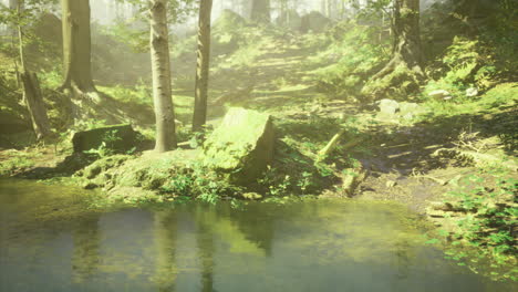 serene forest landscape with a tranquil pond and lush greenery at dawn