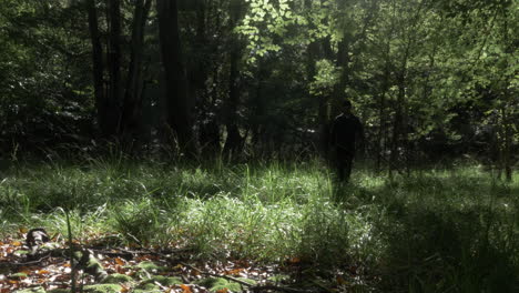 Adult-Male-Walking-In-Nature-Through-Grass-In-Woodland-Forest