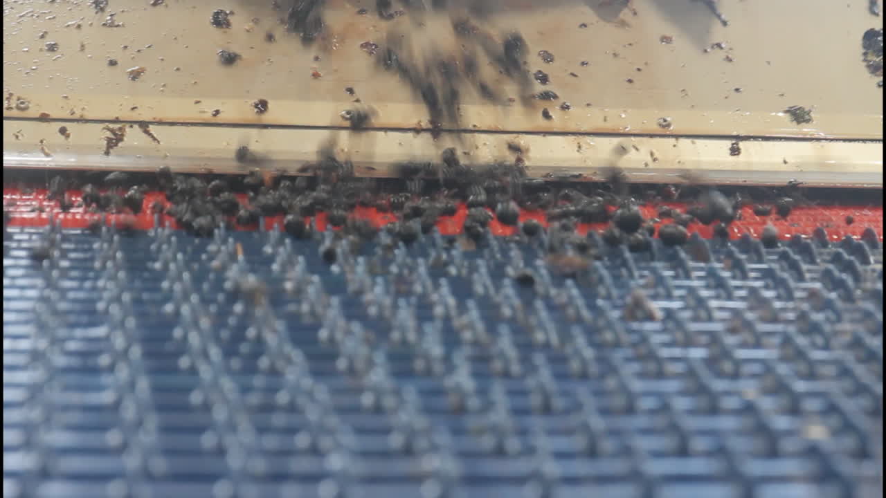 Material Processing and Sorting