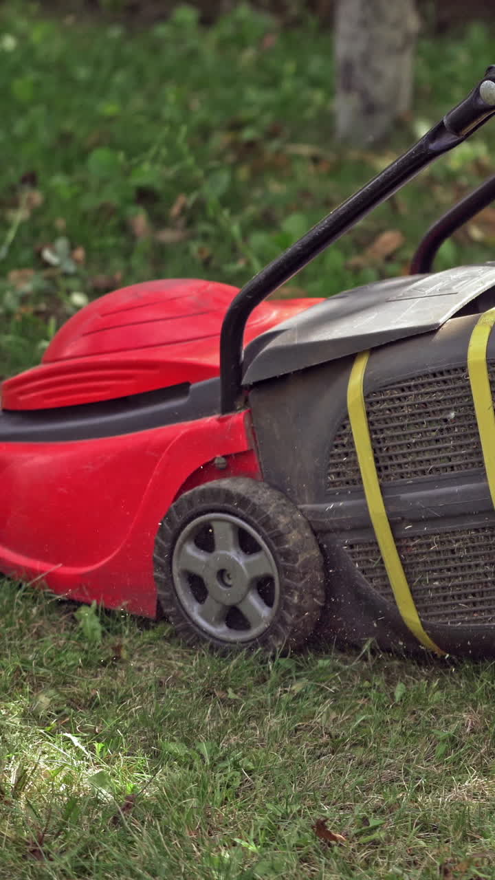 Red lawn mower cutting grass. Cutting grass with a professional lawn mower