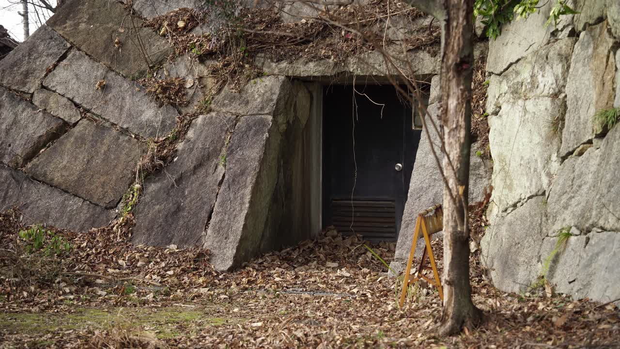 An Entrance in the Woods