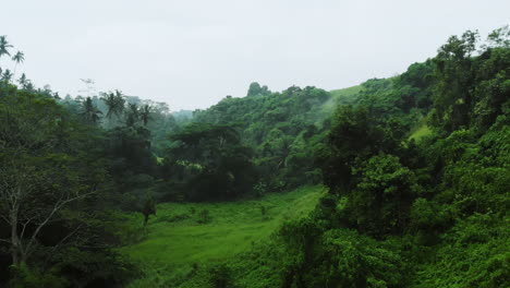 Toma-Cinematográfica-De-Drones-De-Un-Valle-De-Bosque-De-Selva-Tropical-Brumoso