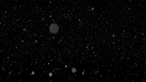 particles of snow falling from sky