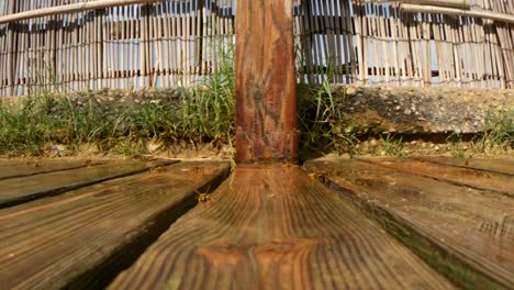 Low-angle-ground-surface-pov-of-flying-bees-on-wooden-wet-floor