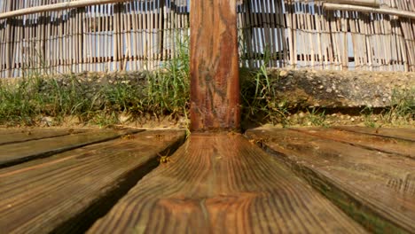 punto de vista de la superficie del suelo de ángulo bajo de abejas voladoras en el piso húmedo de madera