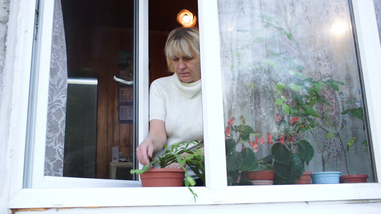 mujer plantando una planta de interior en una olla de arcilla en el alféizar de la ventana