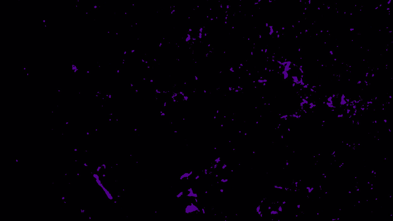 Particelle viola astratte fluttuanti su sfondo nero