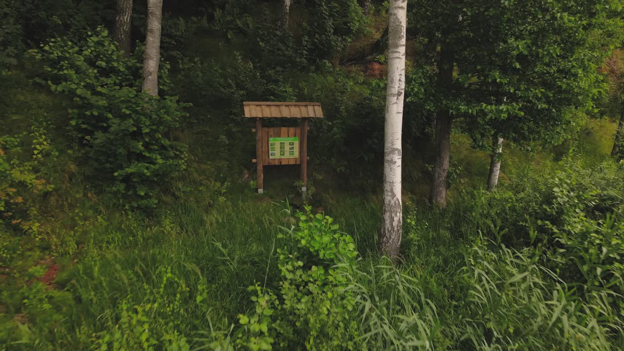Nature views from a drone