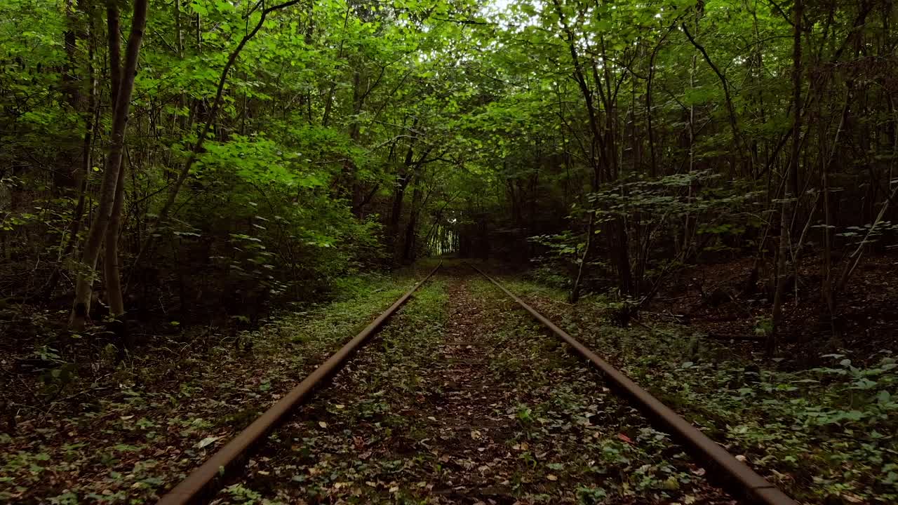 Tree tunnel with railroad tracks in slow motion