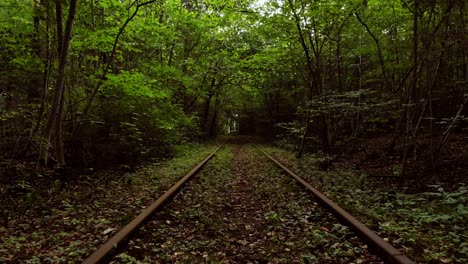 tree tunnel with railroad tracks in slow motion