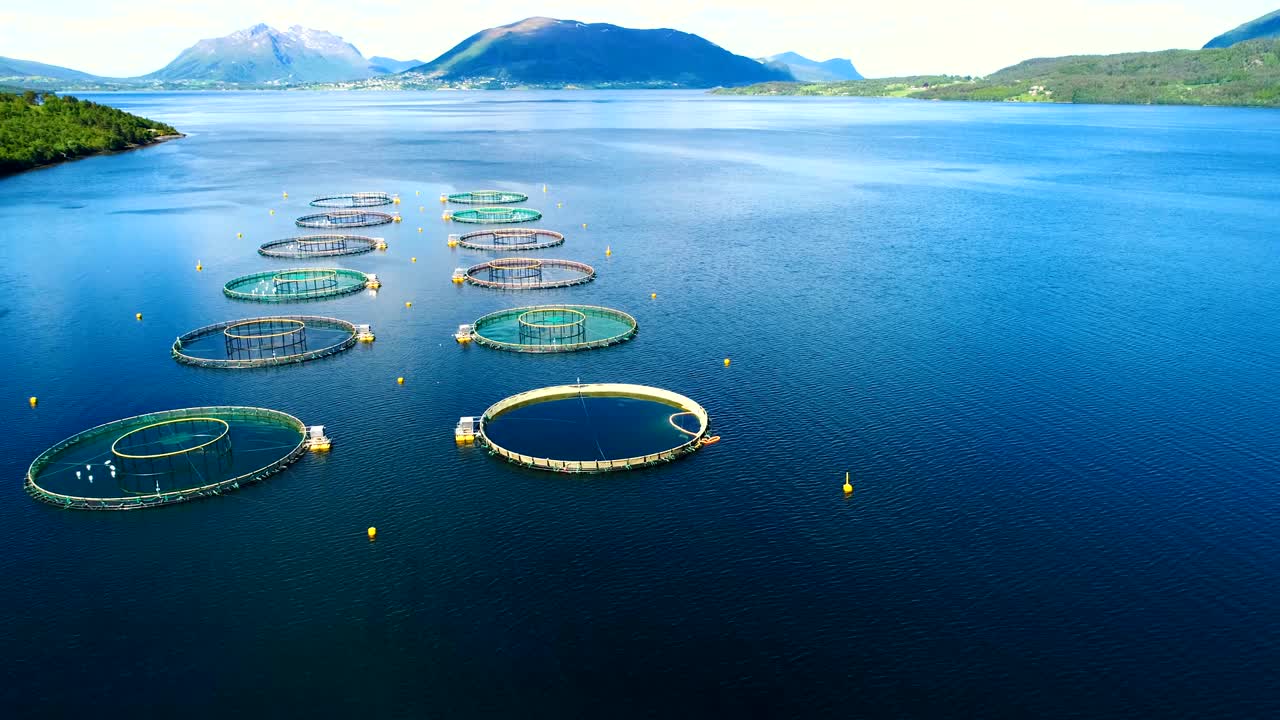 노르웨이에서 연어  ⁇ 시를 하는 공중 촬영