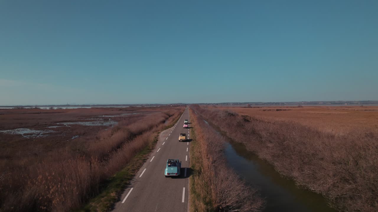 차 들 은 양쪽 에  ⁇  과 관목 이 있는 도로 에서 서로 뒤따라 운전 하고 있다