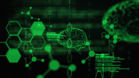 animación de cerebros humanos y procesamiento de datos científicos