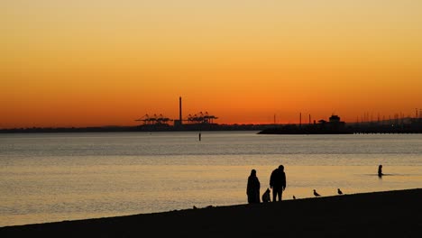 una pareja caminando por la playa durante el atardecer.