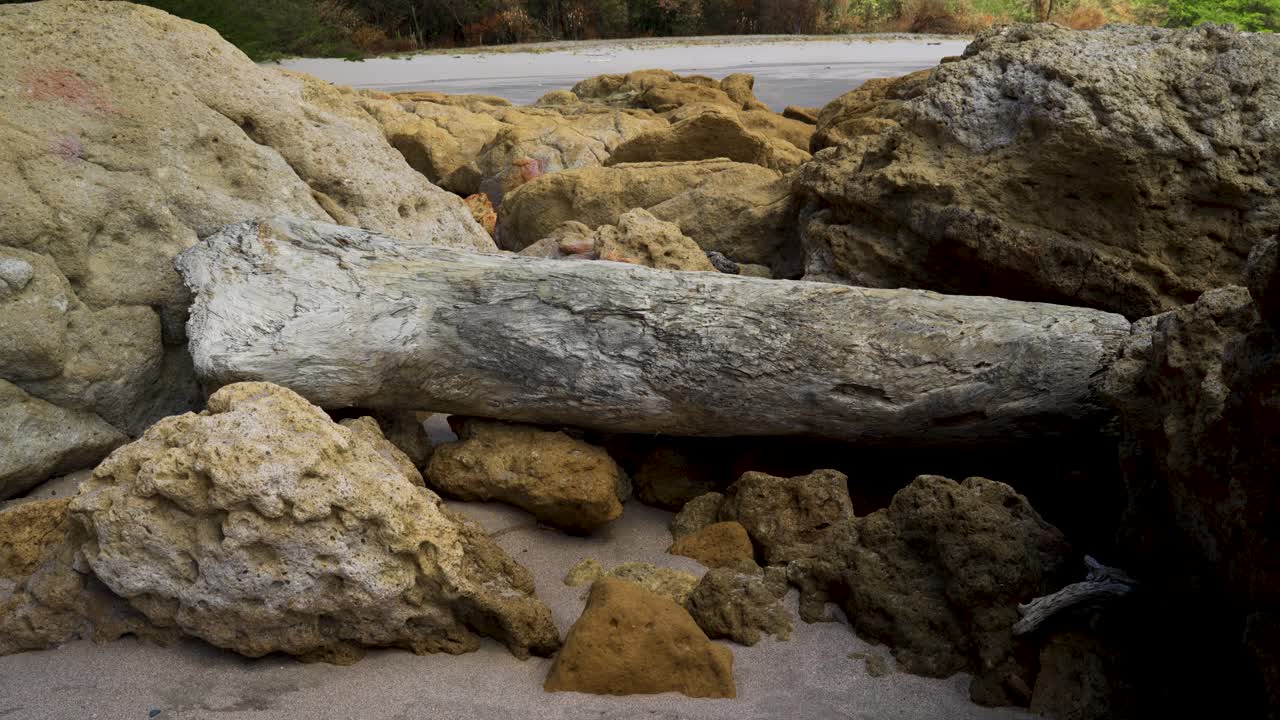 Legno spiaggiato incastrato tra le rocce sulla riva