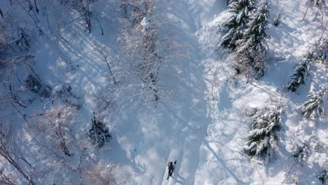 Paisaje-Forestal-Cubierto-De-Nieve-Con-Una-Persona-Esquiando-A-Través-De-Nieve-En-Polvo-Prístina-En-Hokkaido