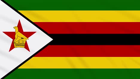zimbabwe flag waving cloth, background loop