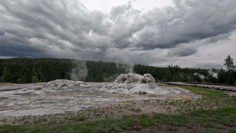 grotto geyser at the upper geyser basin trail in yellowstone national park, wyoming, usa.