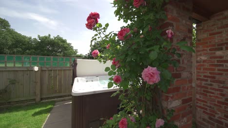 low to high rising shot of roses and vines wrapped around building with hot tub in background on sunny summer day in holiday rental