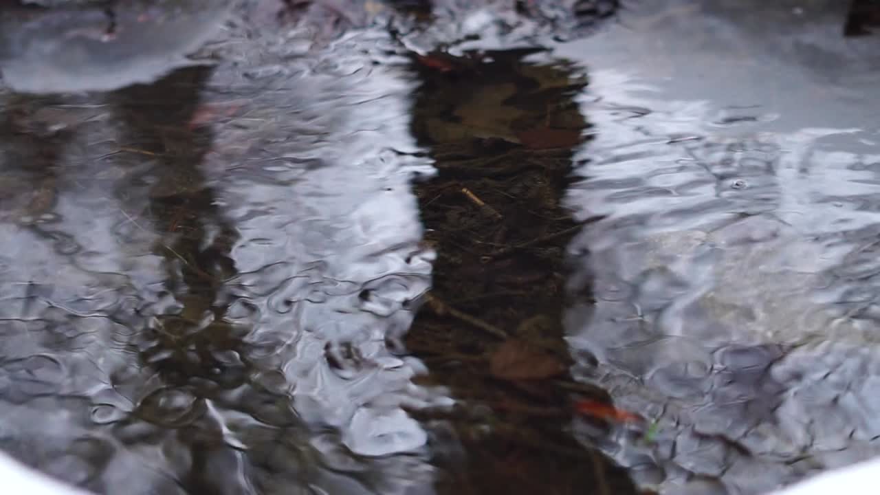 flowing water brook in winter