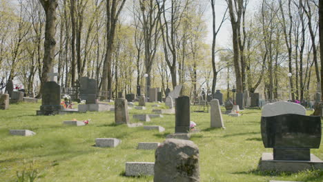 zoom in of a graveyard with tombstones in an urban area on a sunny day 5