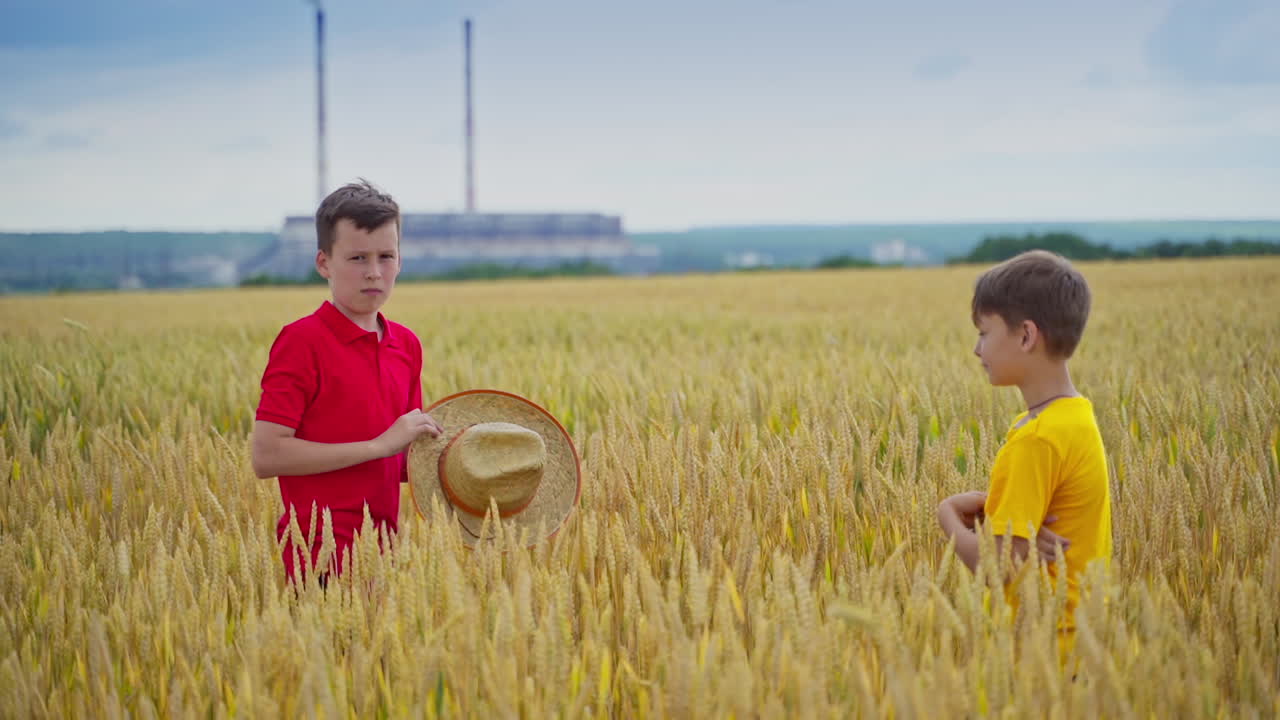 Brothers in the field. Two boys stand in the wheat field on the rural place background. Children among the agricultural land in summer.