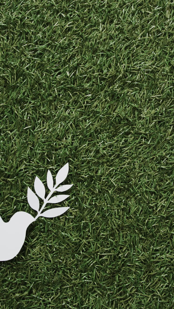 Vertical video of white dove with leaf and copy space on grass background