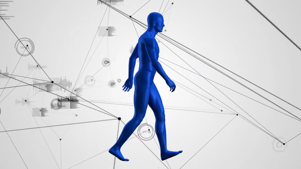 Animation of network of connections and data processing over human body model