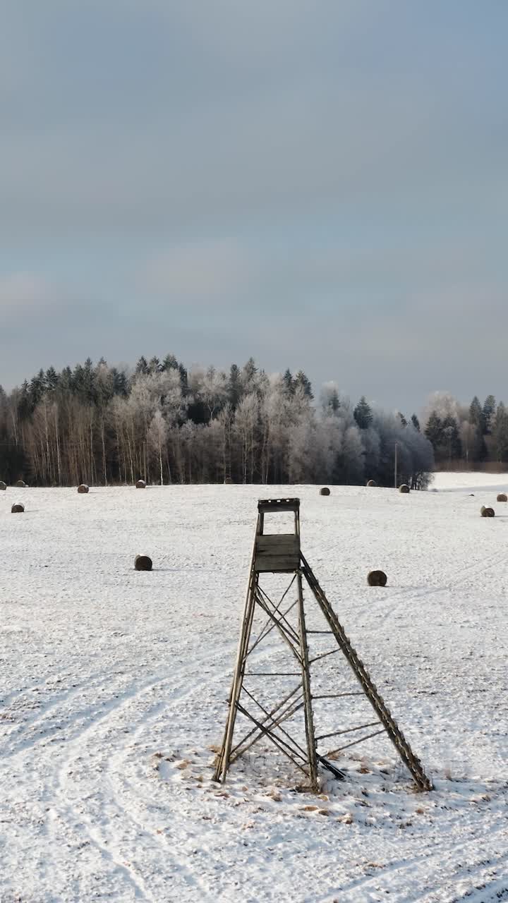 Vertical drone view of wildlife animal hunting tower in a snowy field with hay rolls and a frozen forest in the background on a sunny winter day.