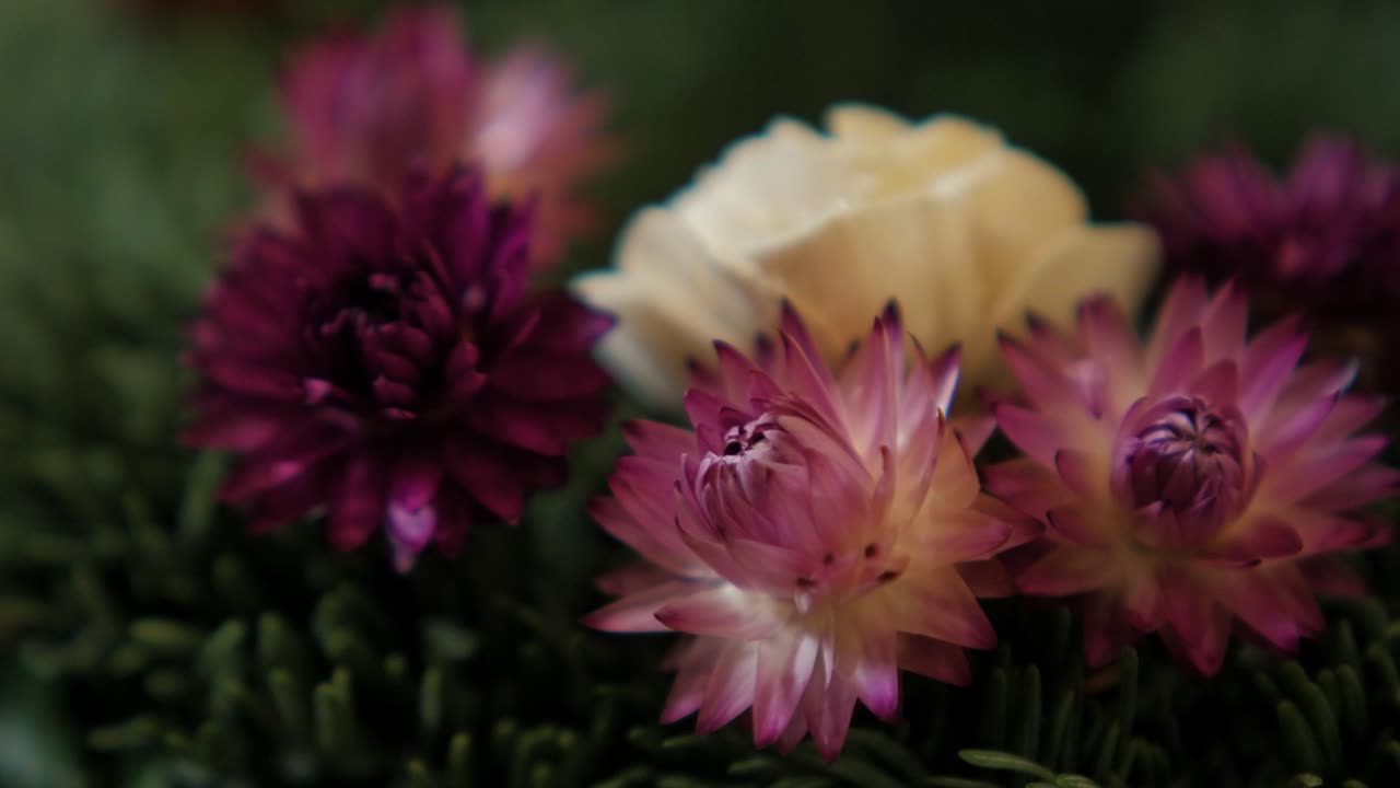 mujer haciendo una corona de adviento de abeto para la víspera de navidad y decorándola con flores secas, decoración artesanal diy, tradiciones de invierno, vacaciones de temporada, tiro de cerca de las manos