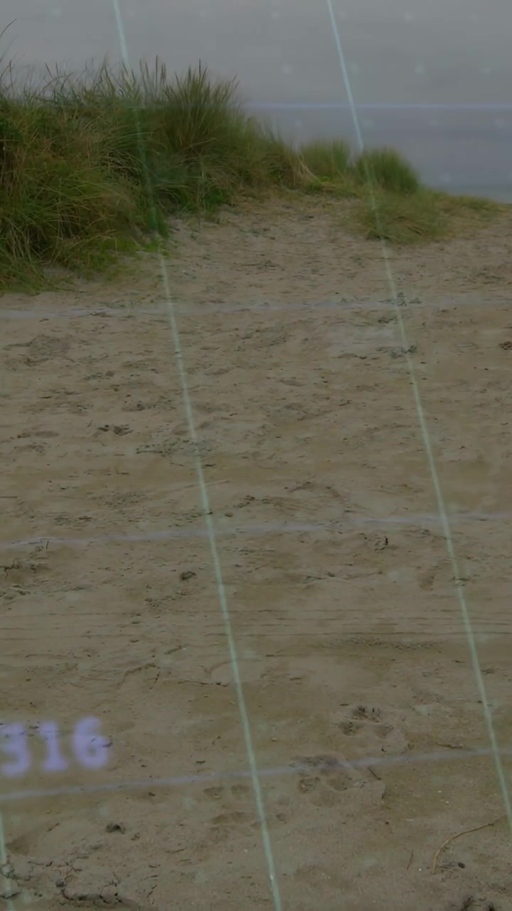 Vertical video: Translucent AR grid scanning sand path, dune grass on camera approach showing data