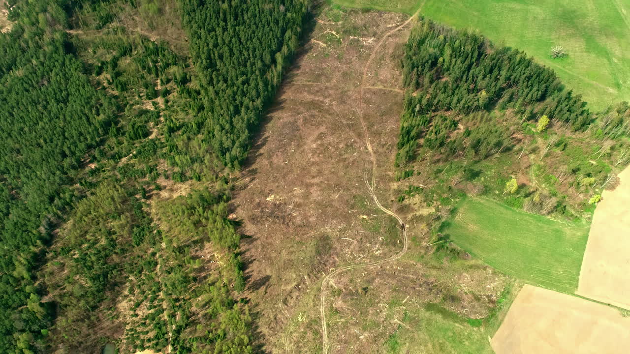 tomada de un avión no tripulado de un bosque que ha sido cortado y cosechado para la madera