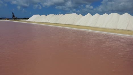 Die-Salinen-Von-Bonaire