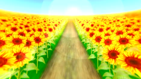 garden filled with sunflowers, loop animation,