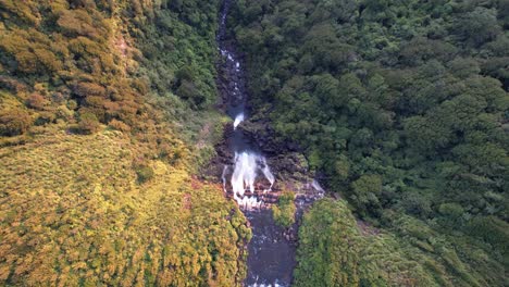 Cataratas-Wairere-Sobre-Una-Escarpada-Ladera-Cerca-De-Matamata-En-El-Sendero-Para-Caminatas-De-Waikato,-Isla-Norte,-Nueva-Zelanda