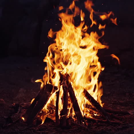 a man near the fire in the evening. bonfire. burning logs in orange flames. slow motion