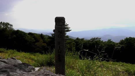 Valle-De-Shenandoah-Y-Montañas-Blue-Ridge-Con-Una-Impresionante-Pradera-Montañosa-Llena-De-Flores-Silvestres