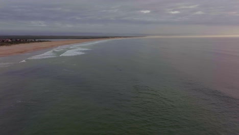 Africa-drone-aerial-cinematic-dolphins-pod-swimming-blow-holes-sunrise-sunset-early-morning-ocean-surf-waves-JBAY-Jefferys-Bay-Indian-Ocean-deep-aqua-blue-water-cloudy-golden-backward-movement