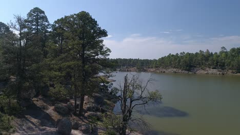 Aerial-jib-down-shot-of-pine-trees-on-the-shore-of-Arareco-Lake-in-the-Copper-Canyon-Region,-Chihuahua