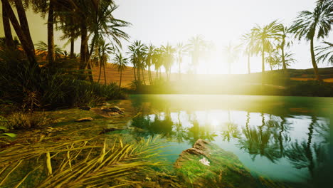 Colorful-scene-with-a-palm-tree-over-a-small-pond-in-a-desert-oasis