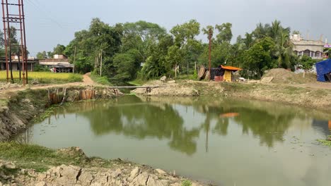 tilt up shot of a morning view of a beautiful village scene with pond and green trees and a hut