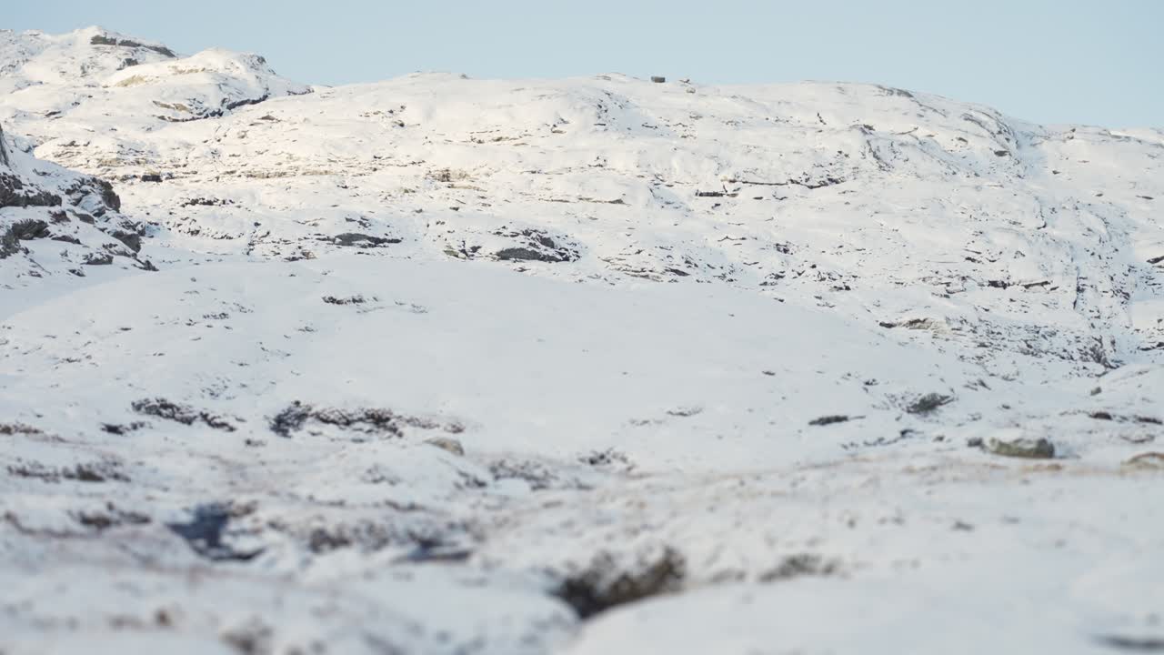 첫 눈이 북쪽 풍경을 덮다