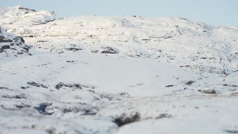 Las-Primeras-Nevadas-Cubren-El-Paisaje-Norteño