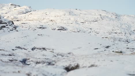 la primera nevada cubre el paisaje del norte