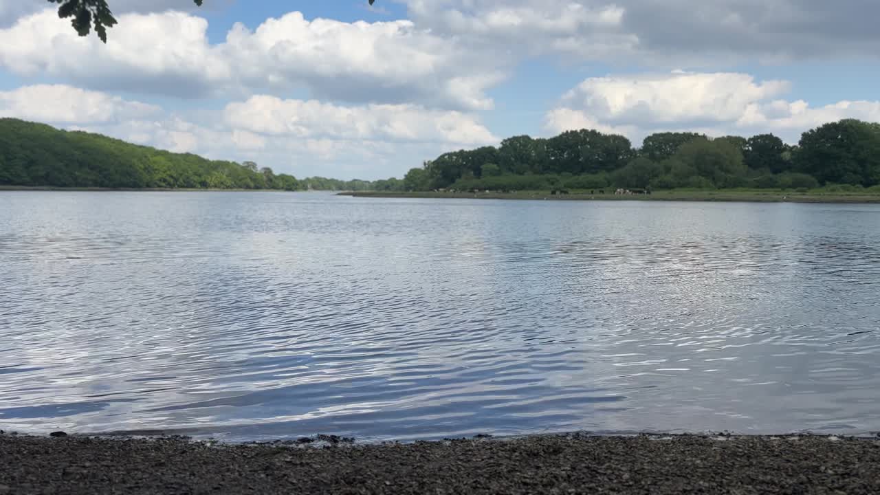 Capture the tranquil beauty of Rivington Reservoir under a cloudy sky. This footage features calm waters reflecting the natural Lancashire landscape, perfect for serene outdoor themes.