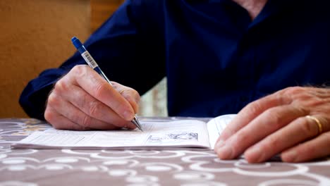 accountant makes the accounts writing on his register