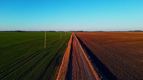 crop rotation process divided by rural road, aerial view